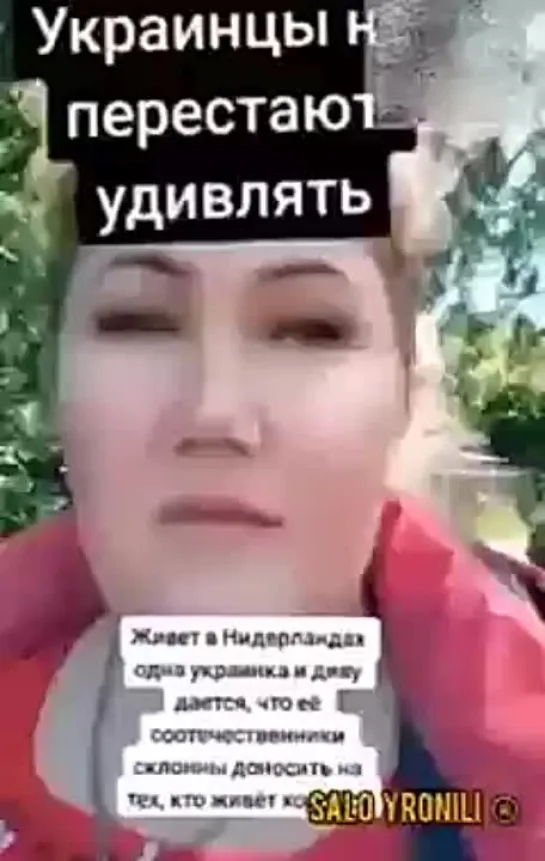 Партизанский отряд с предателем #ЩаВидео