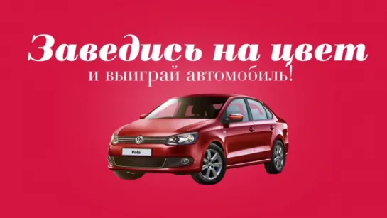 Заведись на цвет и выиграй автомобиль!