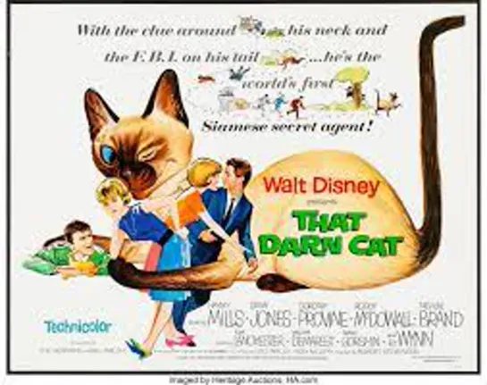 That Darn Cat! (1965) -1080p- Hayley Mills, Dean Jones, Dorothy Provine, Roddy McDowall