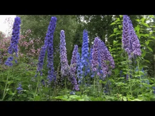 Живые Пейзажи: Цветы и Сады / Living Landscapes: Flowers & Gardens (2009)