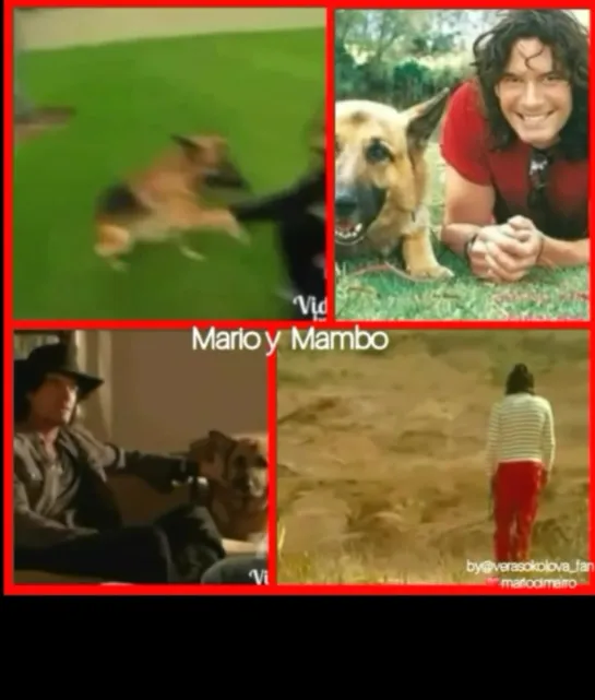 Mario y Mambo