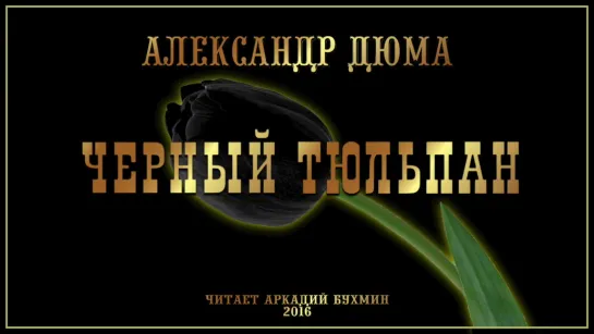 Александр Дюма Черный тюльпан роман