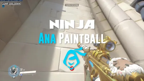 Ninja Ana Paintball