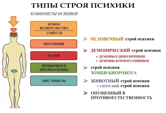 Кто такой (что такое) Человек? (типы строя психики в "КОБ" ВП СССР)