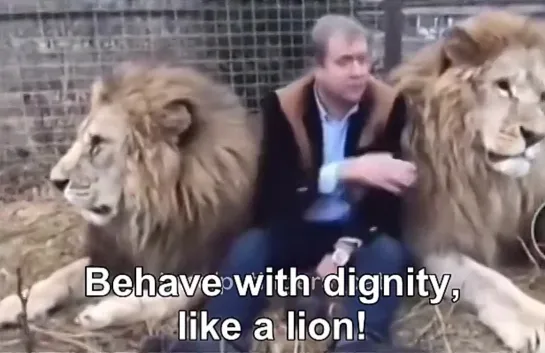 Ever since I translated this video of a man smacking a lion with a shoe, I've been wondering what his deal was.  Clearly, he had