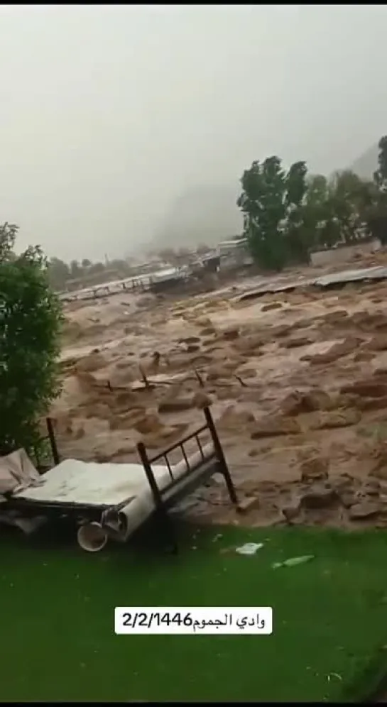 Flood washes away herd of camels on Mecca suburb in Saudi Arabia