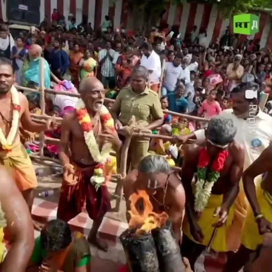 The spectacle is not for the faint-hearted. Hundreds of devout Indians are smashing coconuts on their heads as part of a traumat