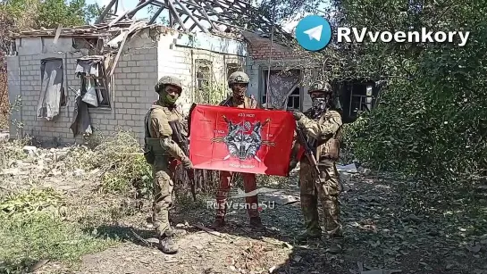 Sergeyevka in the Donetsk people's republic (SMO Zone) is liberated - TG-channels