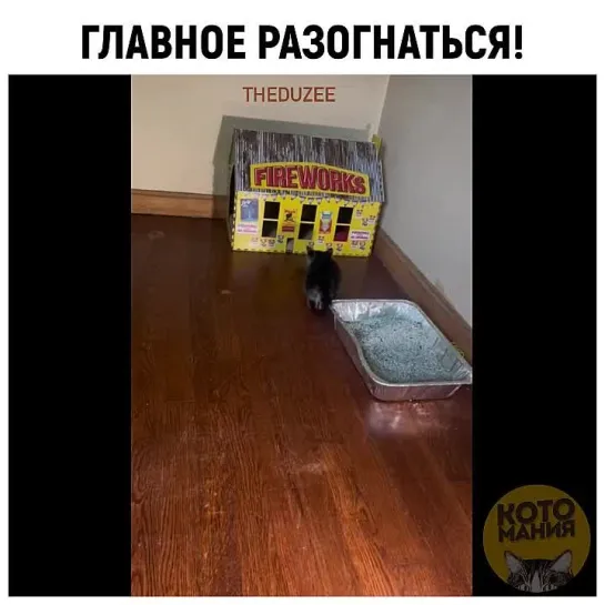 Котомания