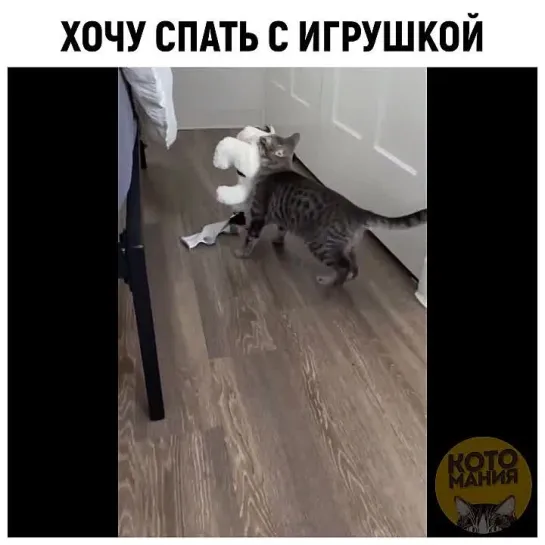 Хочу спать с игрушкой