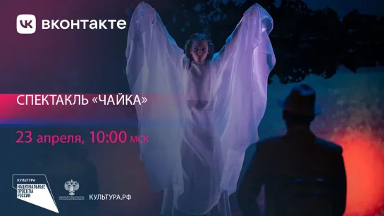 Чайка