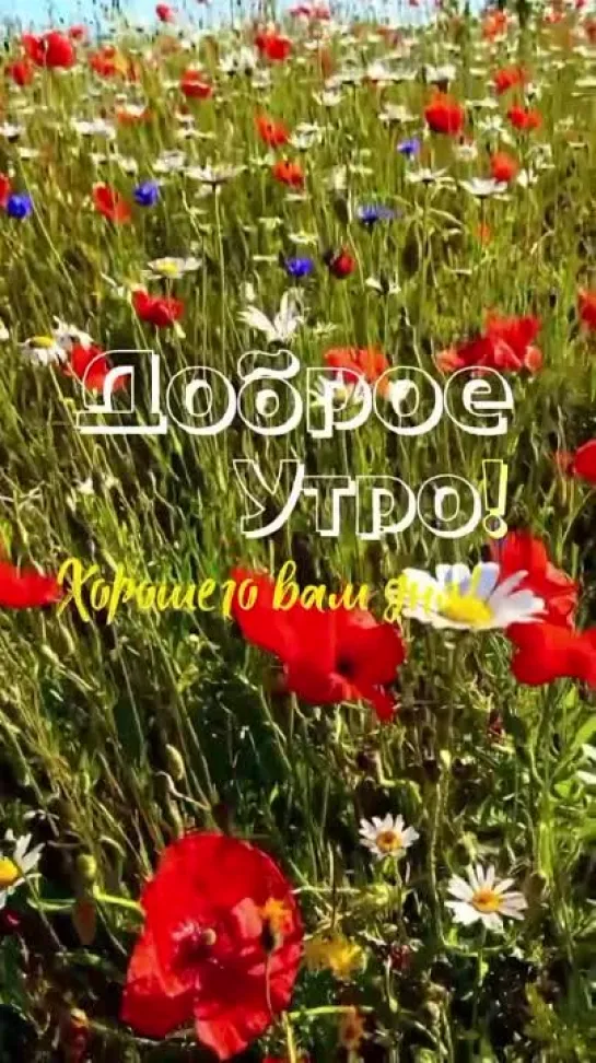 доброе утро