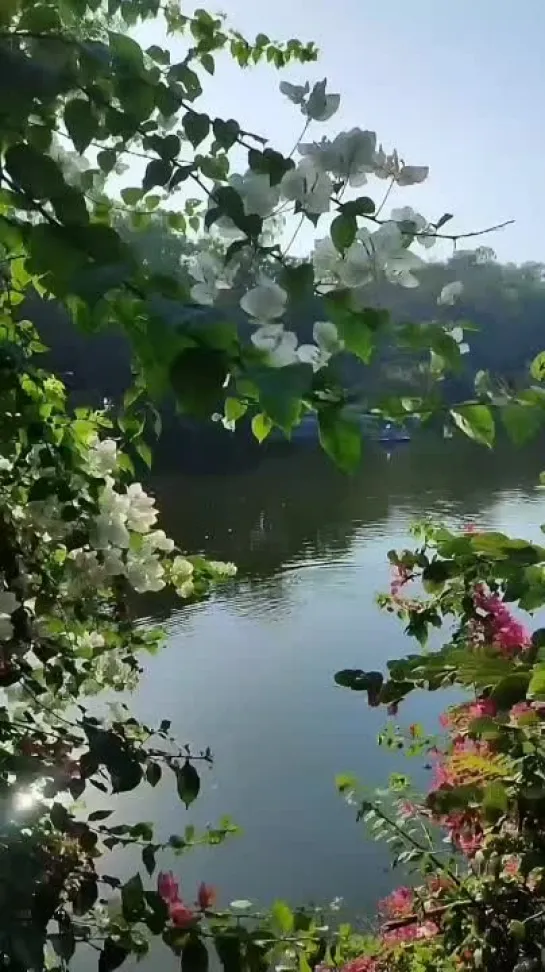 Видео от На все случаи жизни