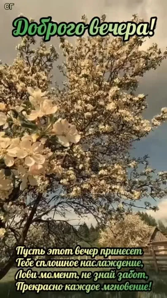 видео от На все случаи жизни