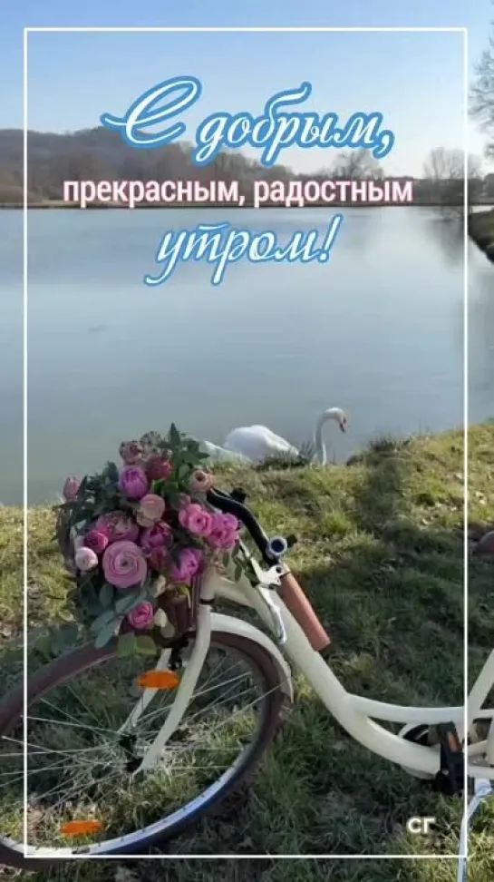 доброе утро