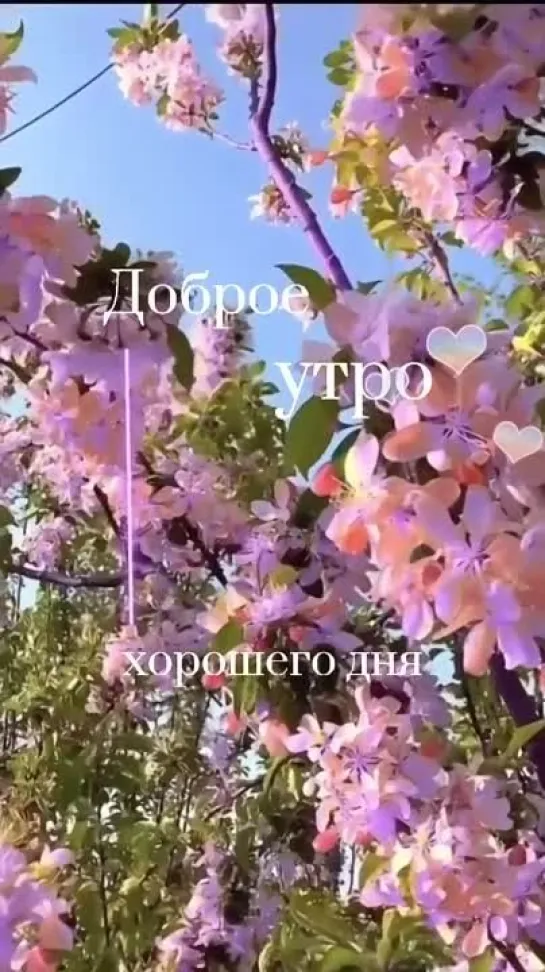 доброе утро