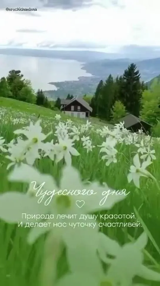 доброе утро