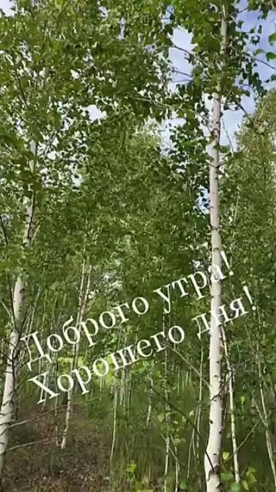 Доброе утро!