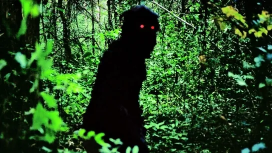 TIO BOONMEE, QUE PODE RECORDAR SUAS VIDAS PASSADAS (APICHATPONG WEERASETHAKUL, 2010)