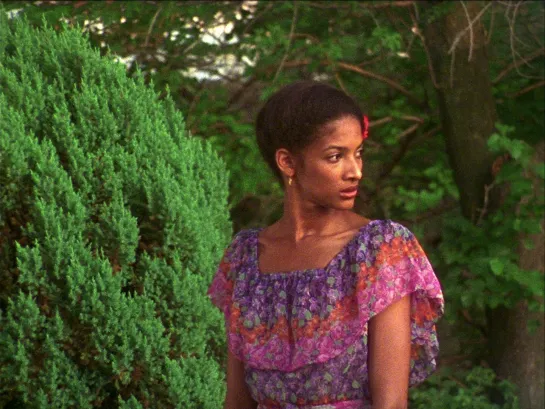 LOSING GROUND (KATHLEEN COLLINS, 1982)