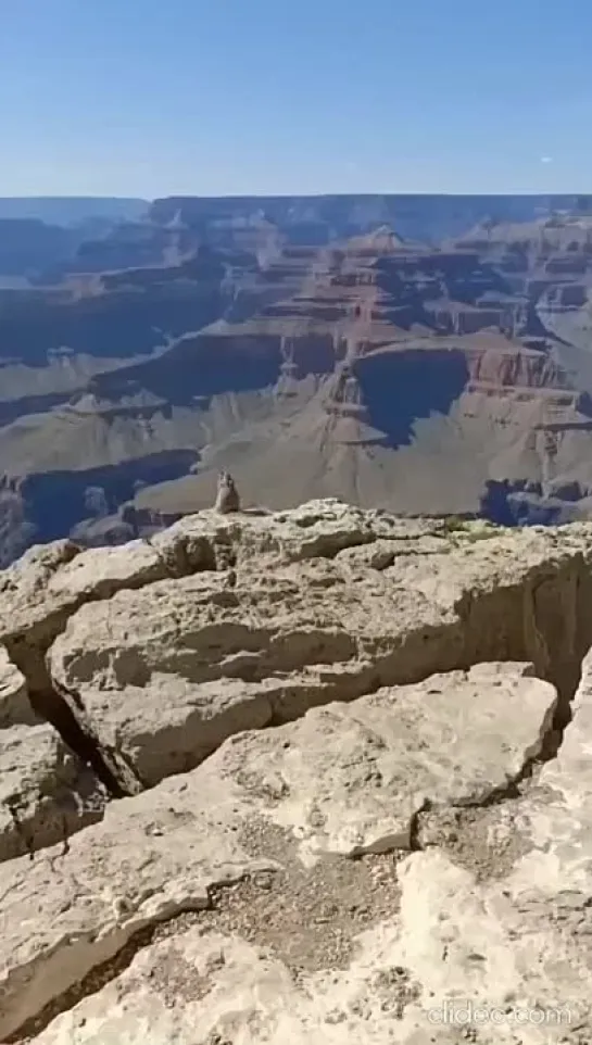 лучше БАБЫ нет!