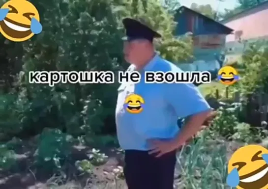 лучше БАБЫ нет!