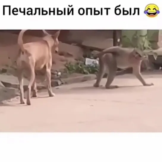 лучше БАБЫ нет!