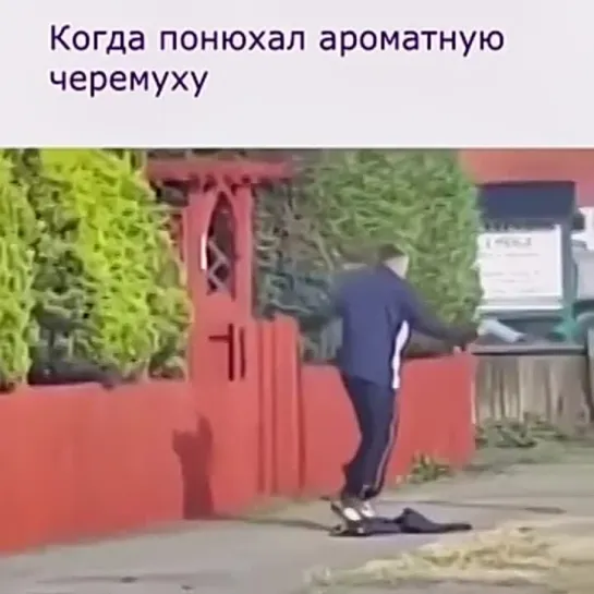 лучше БАБЫ нет!