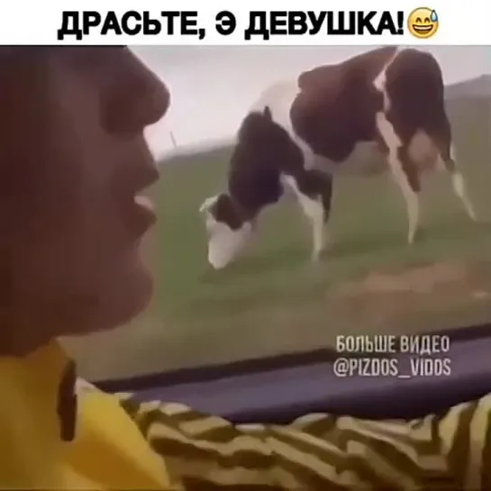 лучше БАБЫ нет!