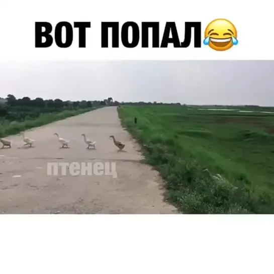 лучше БАБЫ нет!