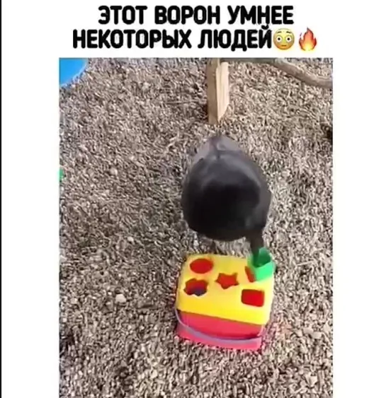 лучше БАБЫ нет!