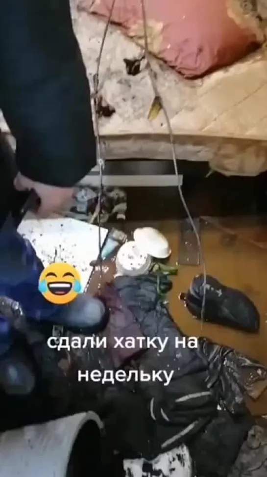 лучше БАБЫ нет!