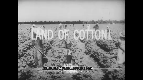 LAND OF COTTON - KING COTTONS SLAVES 1936 SOUTHERN TENANT SHARECROPPERS DOCUME