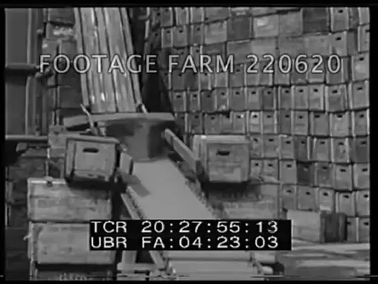 200,000 Beer Cases Ready for April 7th - 220620-29 _ Footage Farm [vAweObLlY2c]