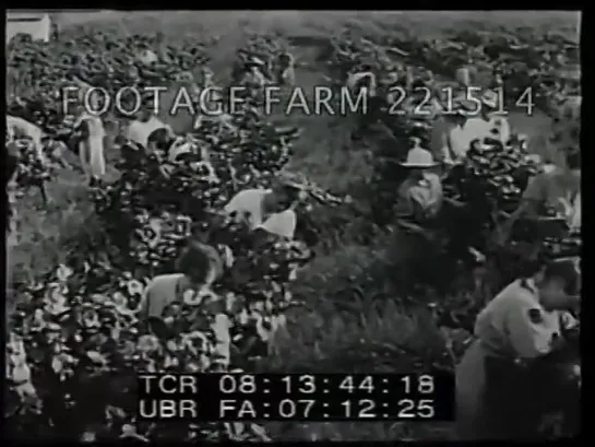 WWI USA Homefront Activities 221514-02 _ Footage Farm