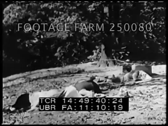 Duck and Cover 250080-05.mp4 _ Footage Farm [QvV_WkhHm0M].mp4