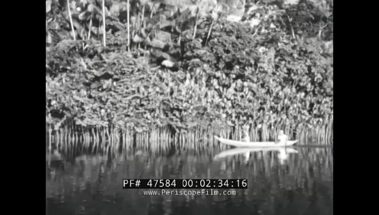 THE AMAZON RIVER AND AMAZON RIVER BASIN MANAOS BRAZIL 1949 FILM 47584 (1)