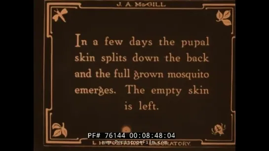 1920s MOSQUITOES  DISEASE PANAMA CANAL EDUCATIONAL MOVIE 76144