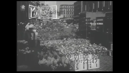 1950s Boston _ Faneuil Hall _ Harbor _ Flower Market _ Harvard