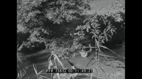 WWII NEWSREEL 1944 MOROTAI, B-29s in CBI, ADVANCES IN EUROPE TO SIEGFRIED LINE 7