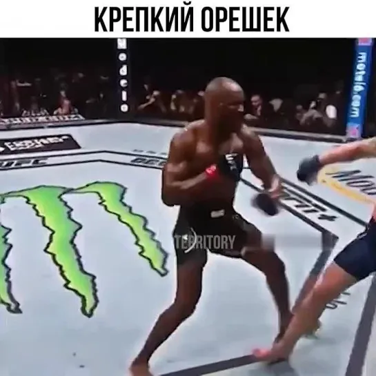 Video by Смотрим Спорт | MMA | UFC | Boxing | Футбол