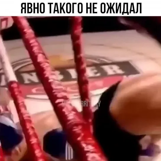 Video by Смотрим Спорт | MMA | UFC | Boxing | Футбол