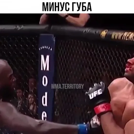 Video by Смотрим Спорт | MMA | UFC | Boxing | Футбол