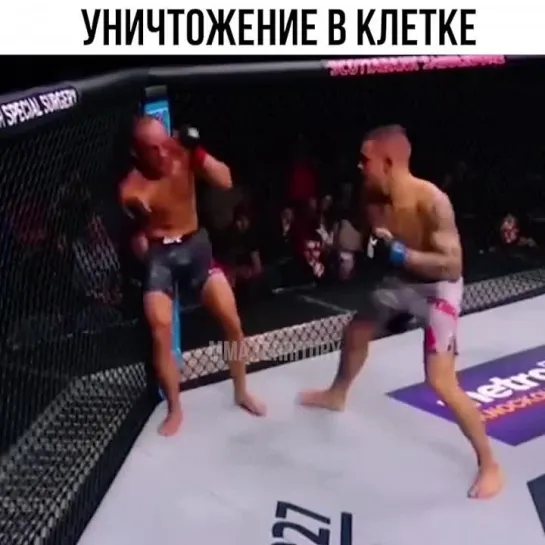 Video by Смотрим Спорт | MMA | UFC | Boxing | Футбол