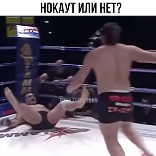 Video by Смотрим Спорт | MMA | UFC | Boxing | Футбол