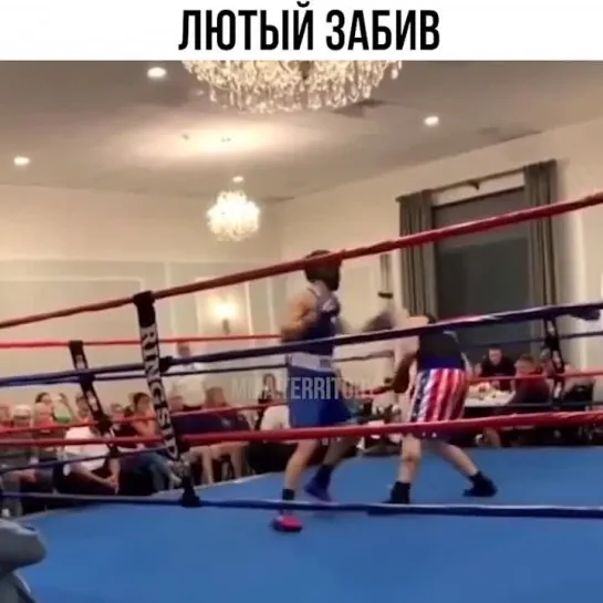 Video by Смотрим Спорт | MMA | UFC | Boxing | Футбол