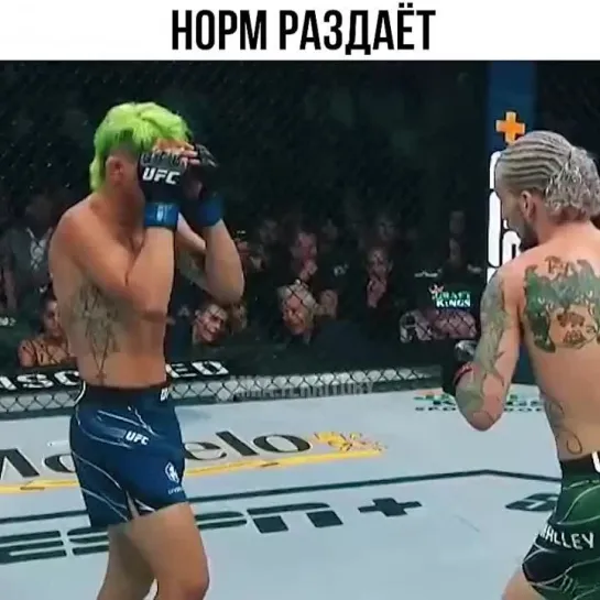 Video by Смотрим Спорт | MMA | UFC | Boxing | Футбол