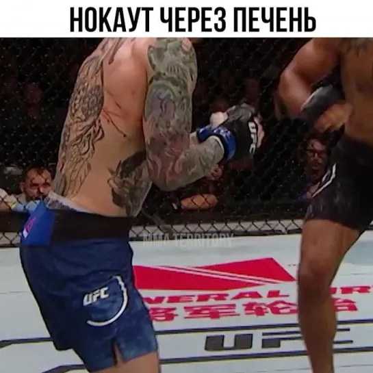 Video by Смотрим Спорт | MMA | UFC | Boxing | Футбол