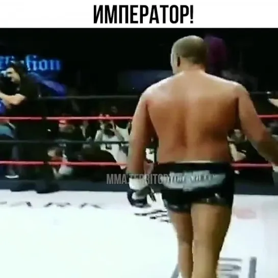 Video by Смотрим Спорт | MMA | UFC | Boxing | Футбол