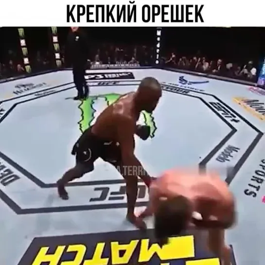 Video by Смотрим Спорт | MMA | UFC | Boxing | Футбол